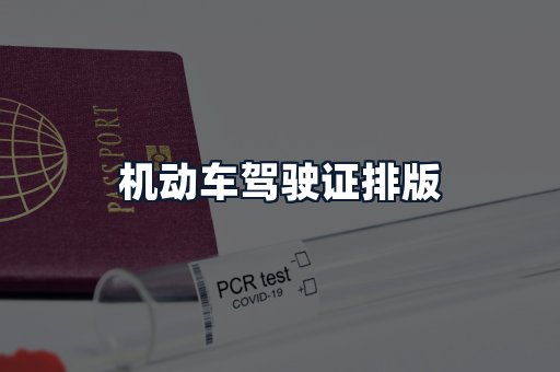 机动车驾驶证排版